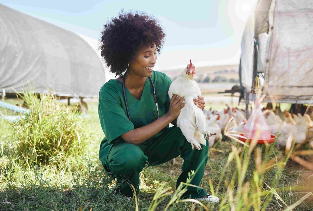 Agriculture and animal health